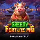 Greedy Fortune Pig
