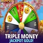 Triple Money Jackpot™ Gold! screenshot